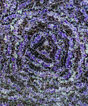 AMETHYST DARK FLOWER