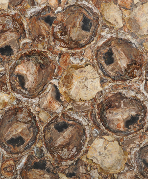 BROWN PETRIFIED WOOD
