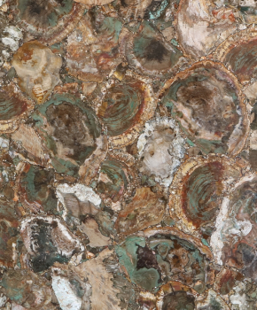 PETRIFIED WOOD BEIGE-GREEN