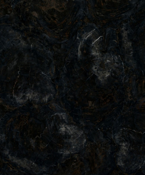 PETRIFIED WOOD BLACK