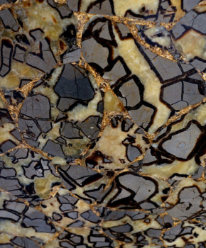 SEPTARIAN WITH GOLD