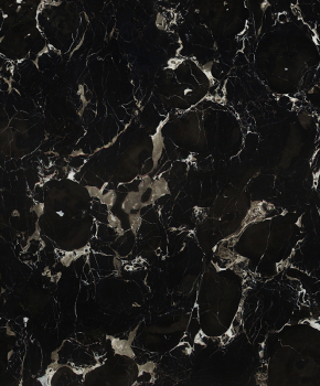 SILVER DRAGON CROSS CUT