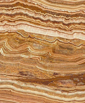 ONICE TIGER VEIN CUT