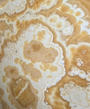 ONICE ALABASTRO EGIZIANO CROSS CUT