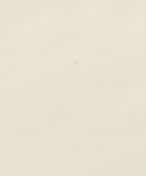 SIVEC WHITE