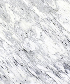 AURELIUS WHITE