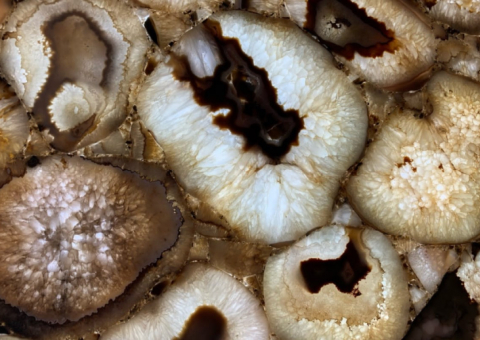 Панно из Agate Chocolate Giant