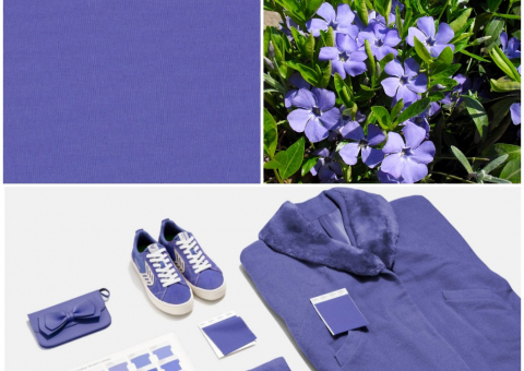 Цвет 2022 года от Pantone