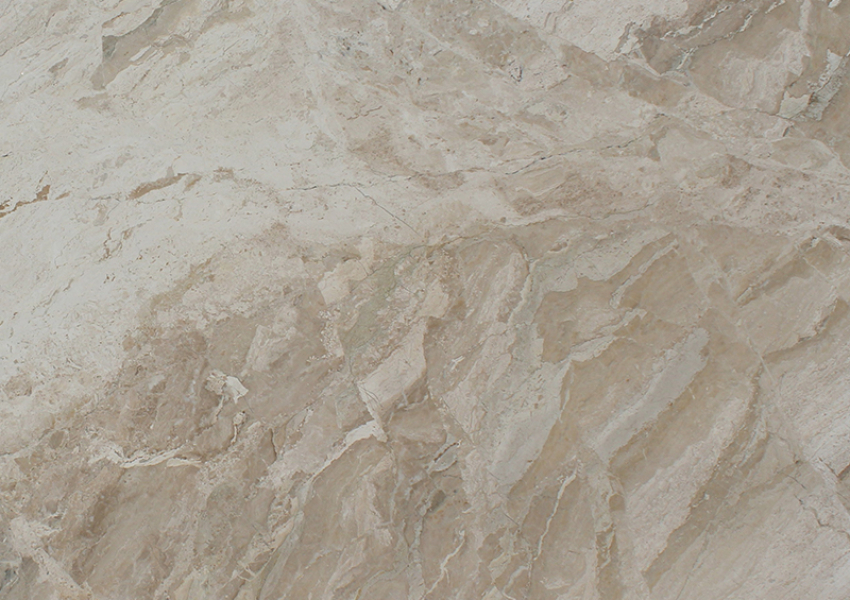 DAINO REALE ТУРЕЦКИЙ