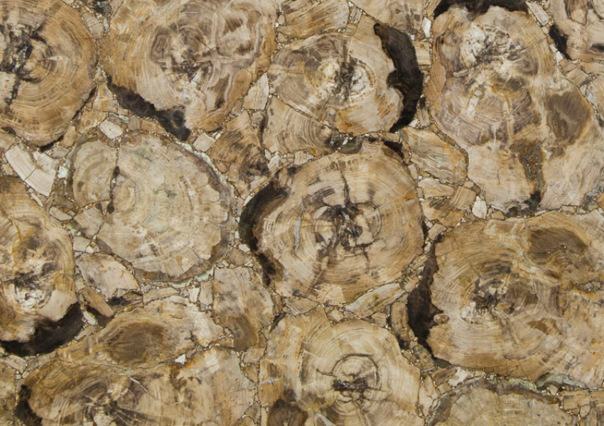 PETRIFIED WOOD BEIGE