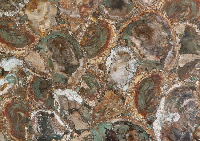 PETRIFIED WOOD BEIGE-GREEN