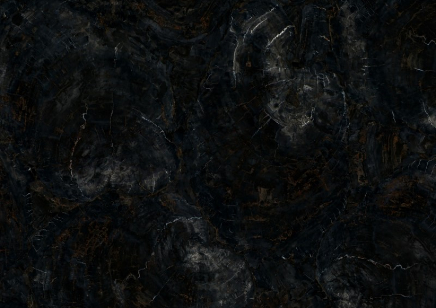 PETRIFIED WOOD BLACK