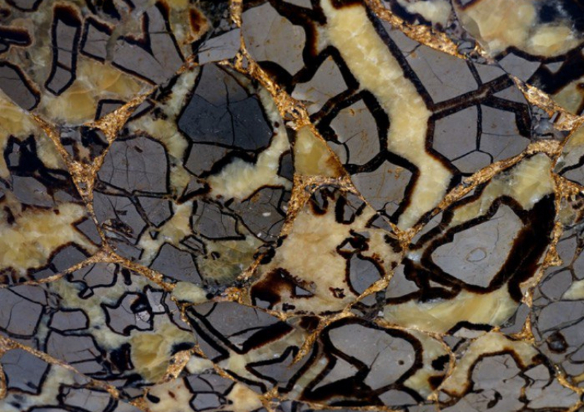 SEPTARIAN WITH GOLD