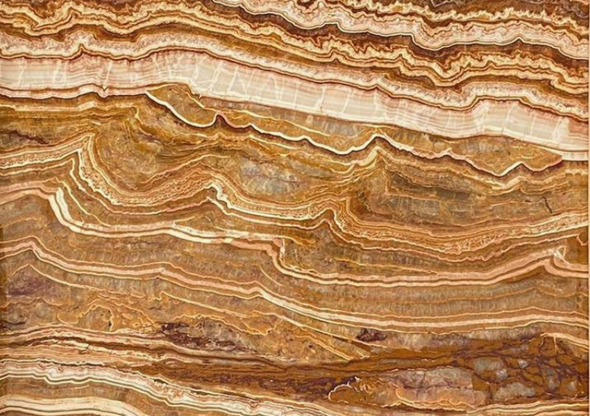 ONICE TIGER VEIN CUT