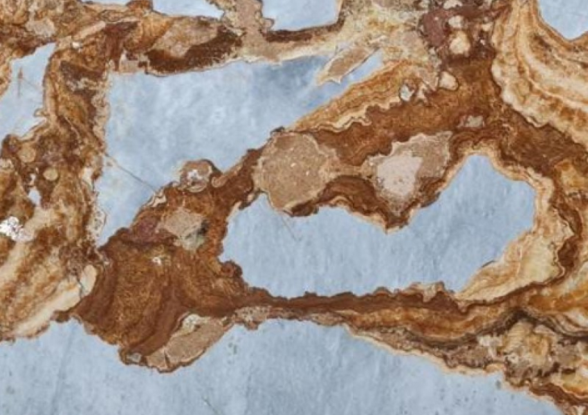 ONICE FIRE FANTASTIC