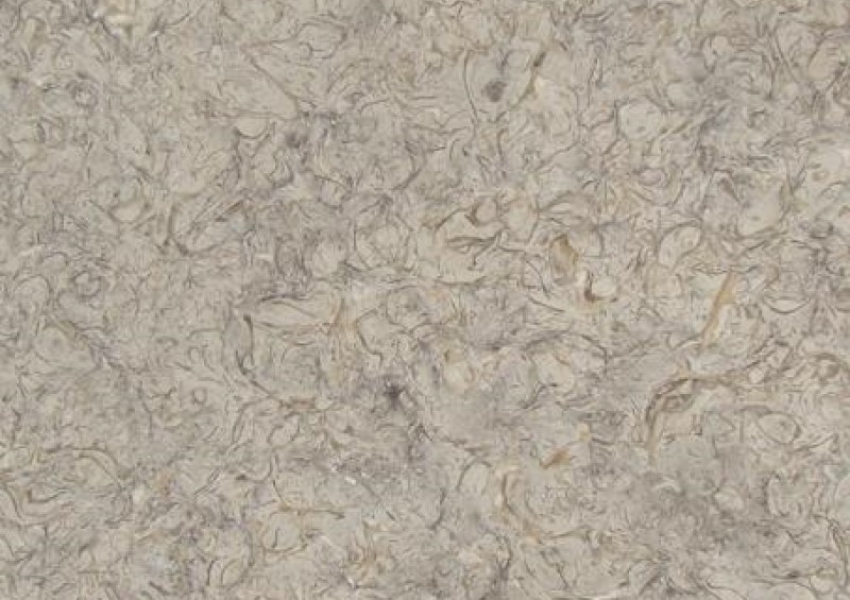 SHELLS RHAPSODY SAGE