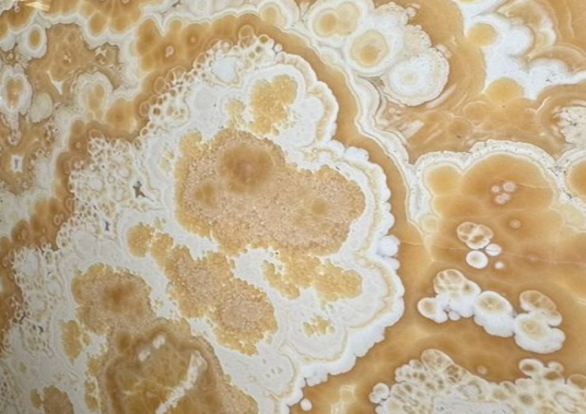 ONICE ALABASTRO EGIZIANO CROSS CUT