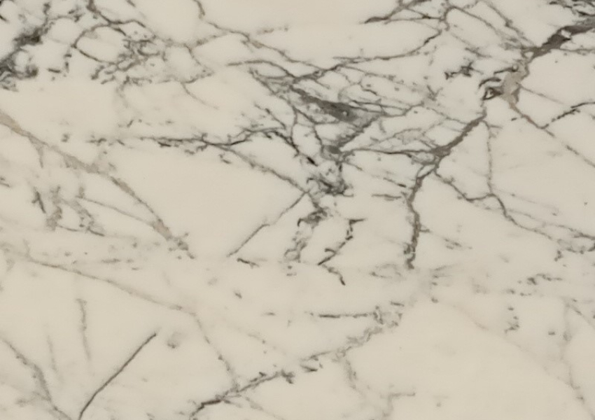 CALACATTA PAONOZZO WHITE