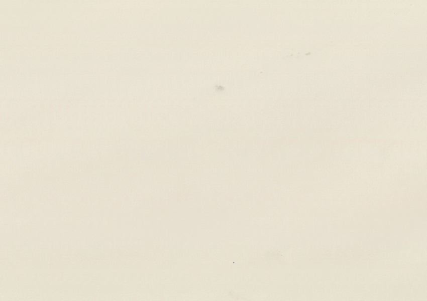 SIVEC WHITE