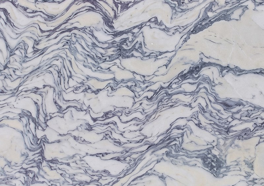 FANTASTICO ARNI VIOLA