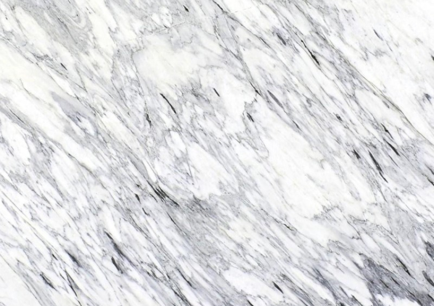 AURELIUS WHITE